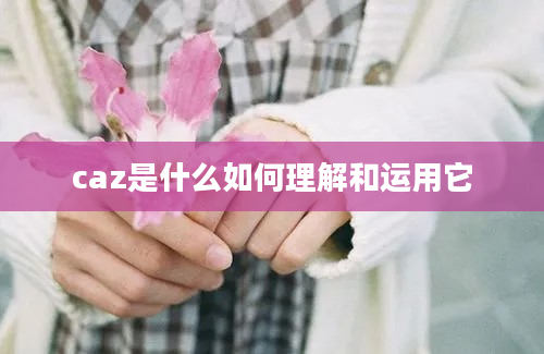 caz是什么如何理解和运用它