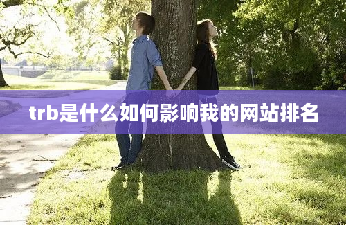 trb是什么如何影响我的网站排名