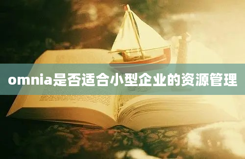 omnia是否适合小型企业的资源管理