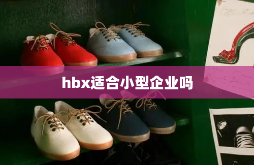 hbx适合小型企业吗