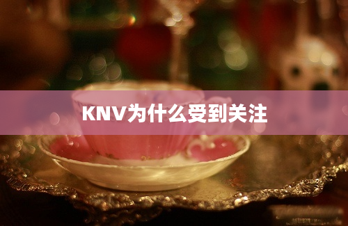 KNV为什么受到关注