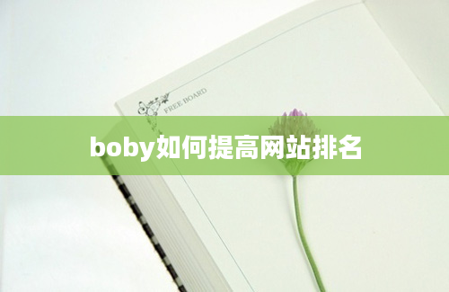 boby如何提高网站排名