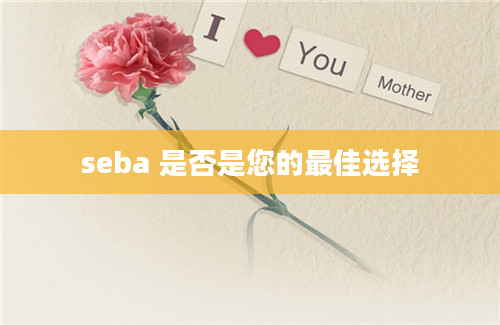 seba 是否是您的最佳选择