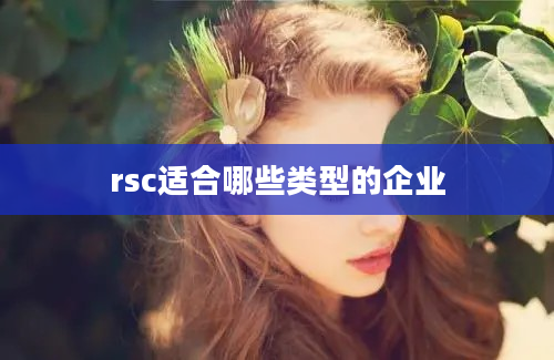 rsc适合哪些类型的企业