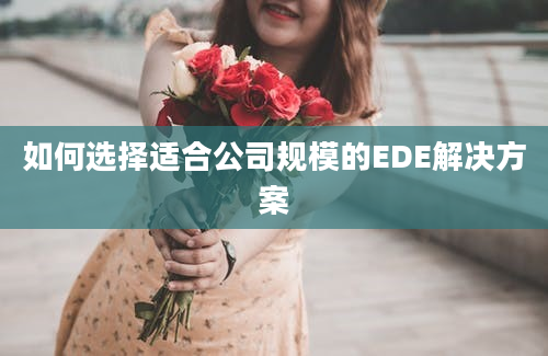 如何选择适合公司规模的EDE解决方案