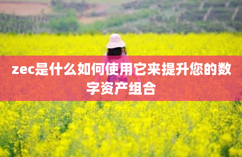 zec是什么如何使用它来提升您的数字资产组合