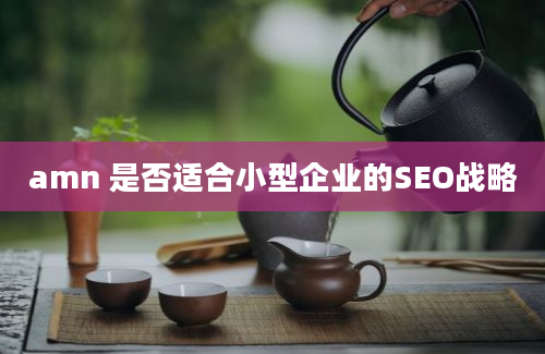 amn 是否适合小型企业的SEO战略