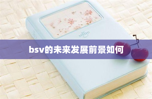 bsv的未来发展前景如何