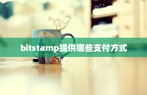 bitstamp提供哪些支付方式