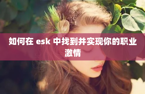 如何在 esk 中找到并实现你的职业激情