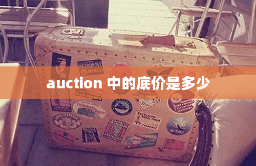 auction 中的底价是多少