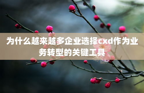 为什么越来越多企业选择cxd作为业务转型的关键工具