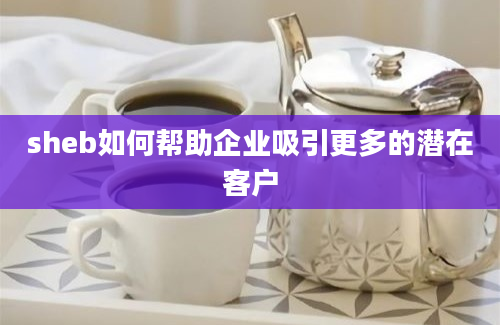 sheb如何帮助企业吸引更多的潜在客户