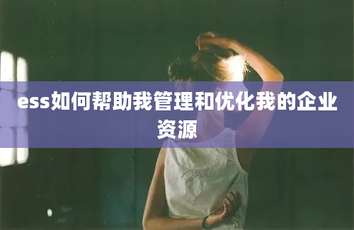 ess如何帮助我管理和优化我的企业资源