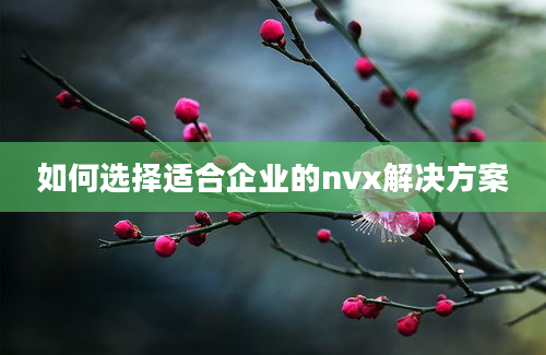 如何选择适合企业的nvx解决方案