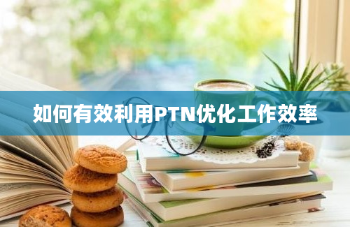 如何有效利用PTN优化工作效率