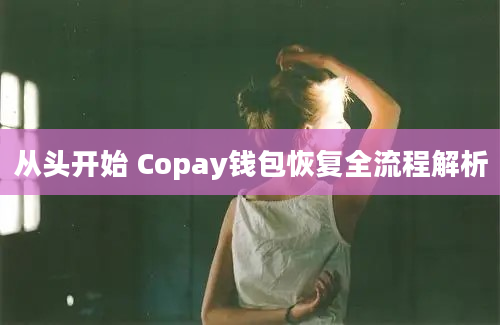 从头开始 Copay钱包恢复全流程解析