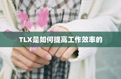 TLX是如何提高工作效率的