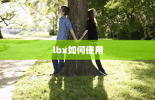 lbx如何使用