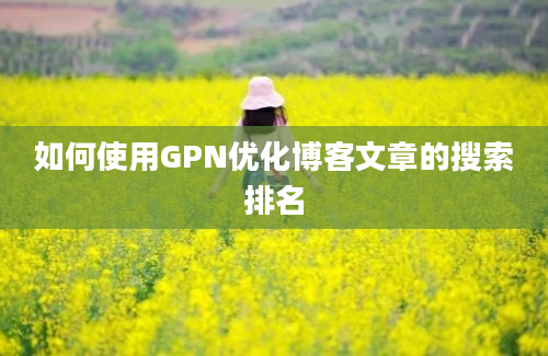 如何使用GPN优化博客文章的搜索排名