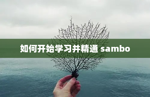 如何开始学习并精通 sambo