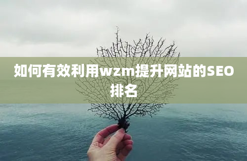 如何有效利用wzm提升网站的SEO排名