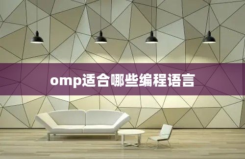 omp适合哪些编程语言