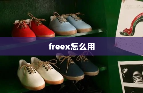 freex怎么用