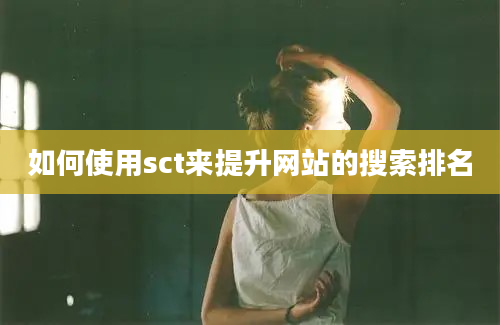 如何使用sct来提升网站的搜索排名