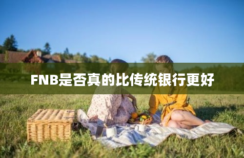 FNB是否真的比传统银行更好