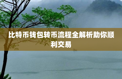 比特币钱包转币流程全解析助你顺利交易