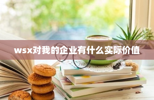 wsx对我的企业有什么实际价值