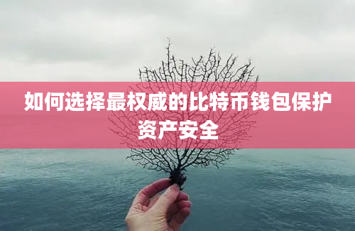 如何选择最权威的比特币钱包保护资产安全