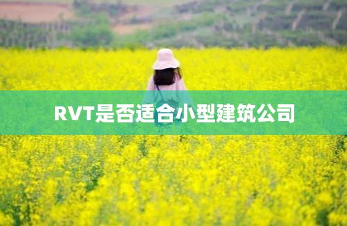 RVT是否适合小型建筑公司