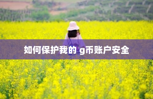 如何保护我的 g币账户安全