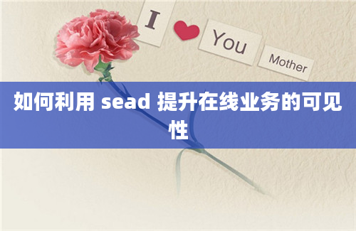 如何利用 sead 提升在线业务的可见性