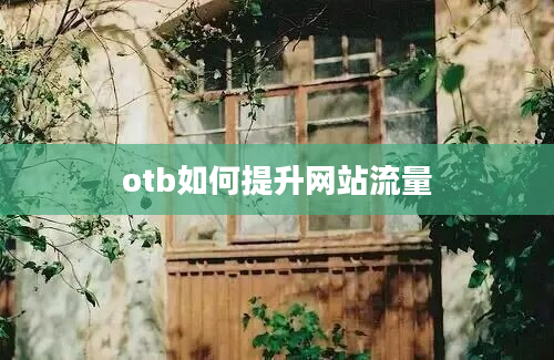 otb如何提升网站流量