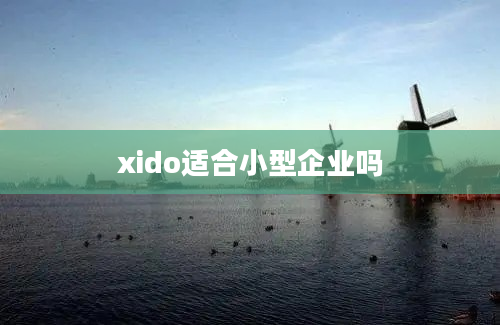 xido适合小型企业吗