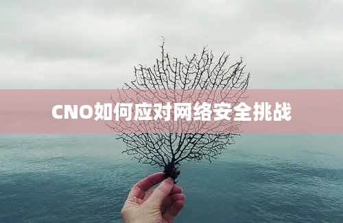 CNO如何应对网络安全挑战