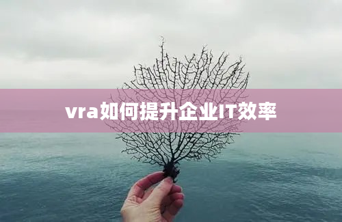 vra如何提升企业IT效率