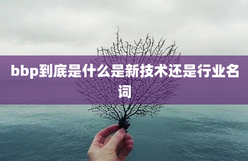 bbp到底是什么是新技术还是行业名词