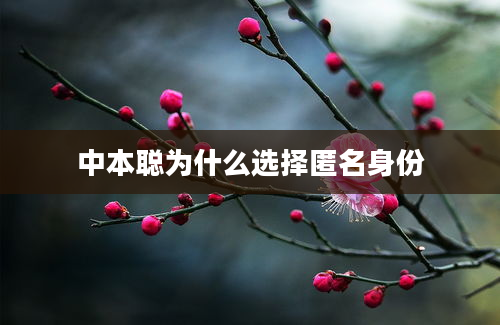 中本聪为什么选择匿名身份