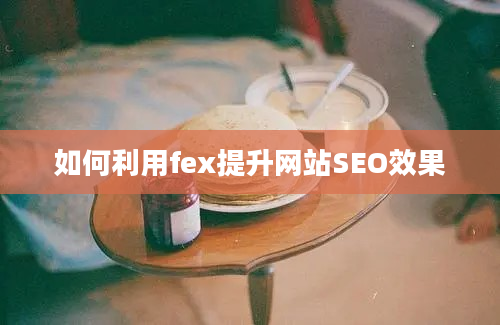 如何利用fex提升网站SEO效果