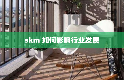 skm 如何影响行业发展