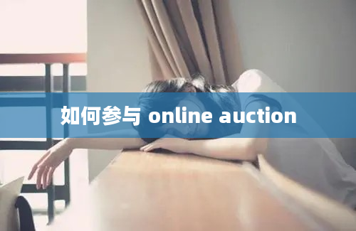 如何参与 online auction