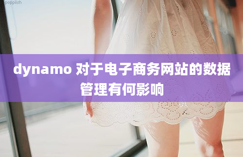 dynamo 对于电子商务网站的数据管理有何影响