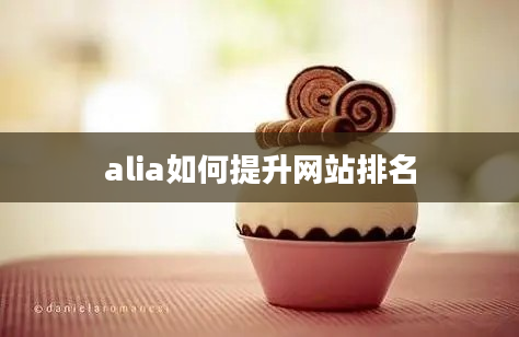 alia如何提升网站排名