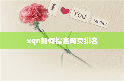 xqn如何提高网页排名