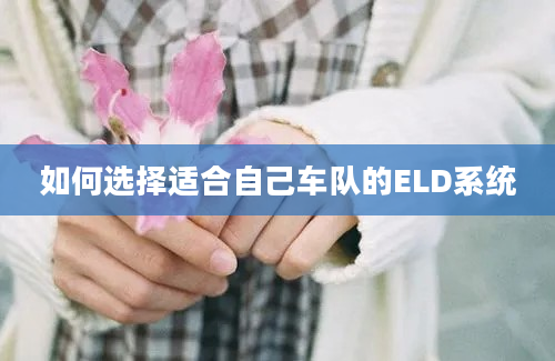 如何选择适合自己车队的ELD系统