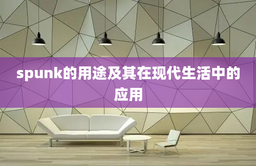 spunk的用途及其在现代生活中的应用